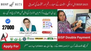 Read more about the article BISP 2025 Double Payment – Eligibility Criteria, Amounts & Status Verification