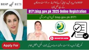 Read more about the article How to BISP Online Apply on Jobs Portal – Full Guide for Applicants